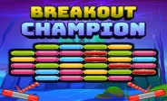 Breakout Champion img