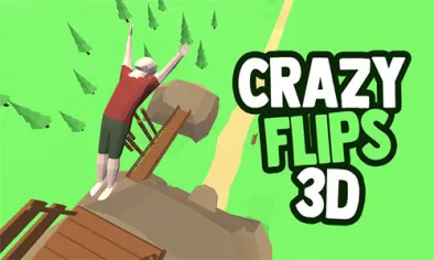 Crazy Flips 3D img