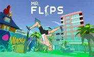 Mr Flip img