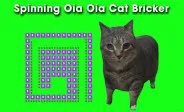 Spinning Uia Uia Cat Bricker img