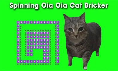 Spinning Uia Uia Cat Bricker img