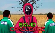 Squid Challenge img