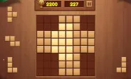 Wooden Block Blast Adventure Master img
